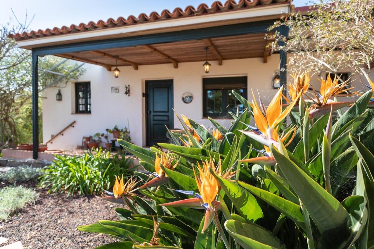 Live La Laguna Casita Vieja Екстер'єр фото