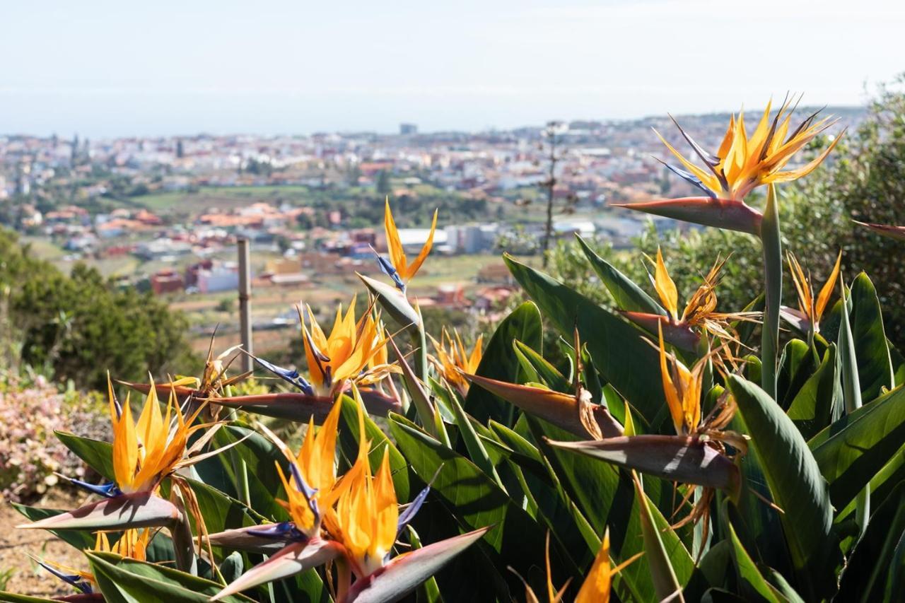 Live La Laguna Casita Vieja Екстер'єр фото
